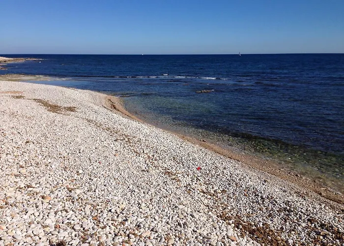 Tropicana Park Apartment *